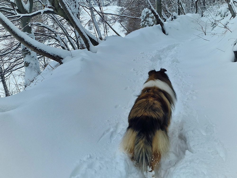 Sveta Planina, 21. 2. 2026