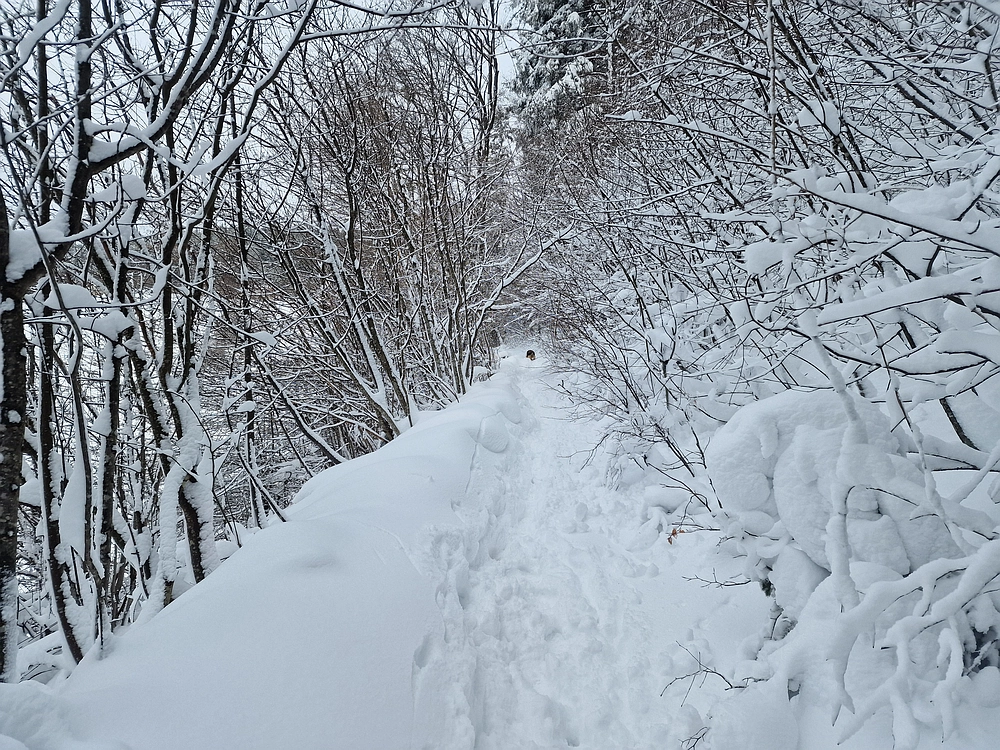 Sveta Planina, 21. 2. 2026