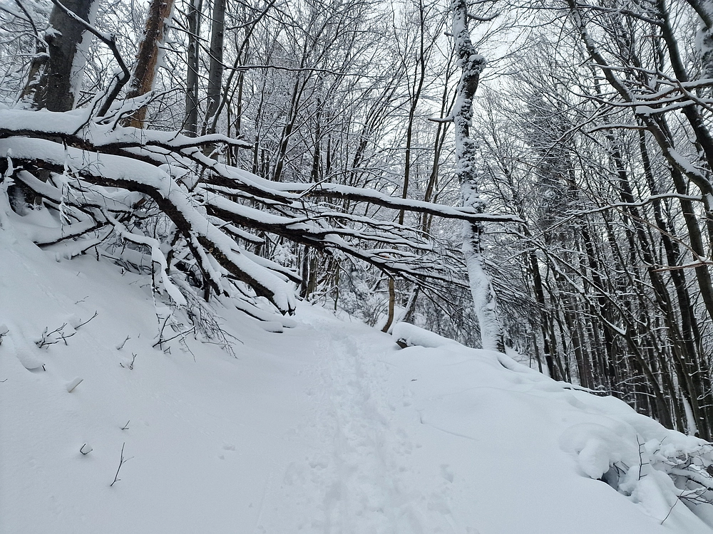 Sveta Planina, 21. 2. 2026