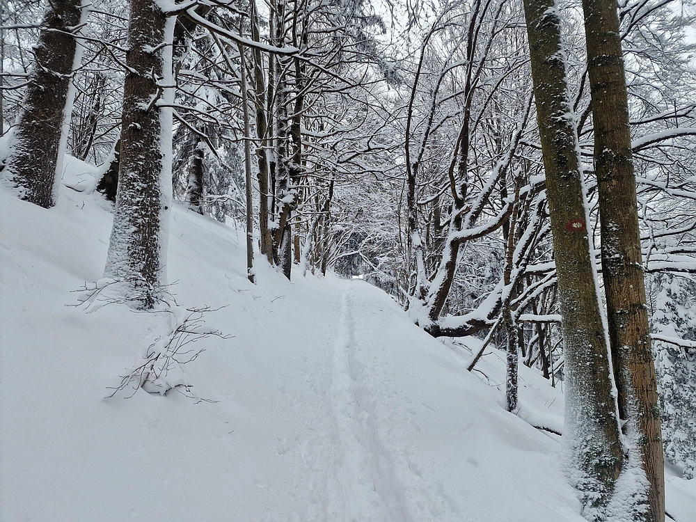 Sveta Planina, 21. 2. 2026