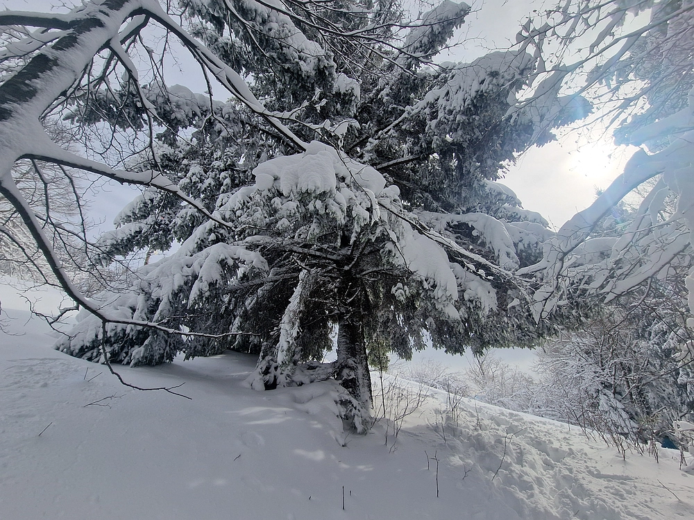 Sveta Planina, 21. 2. 2026