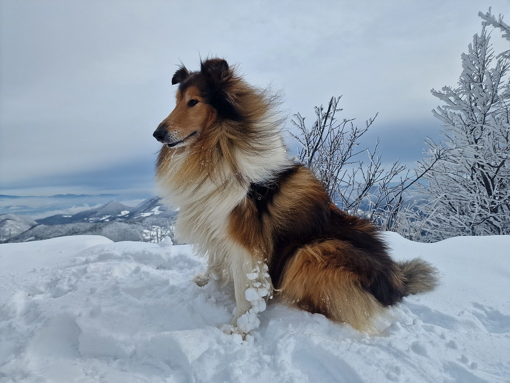 Sveta Planina, 21. 2. 2026