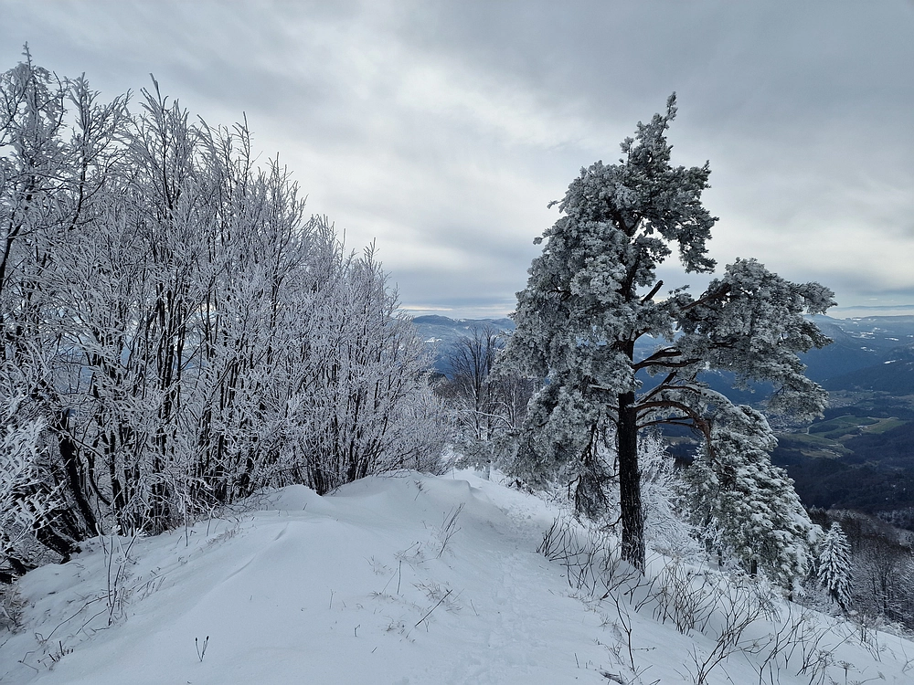 Sveta Planina, 21. 2. 2026