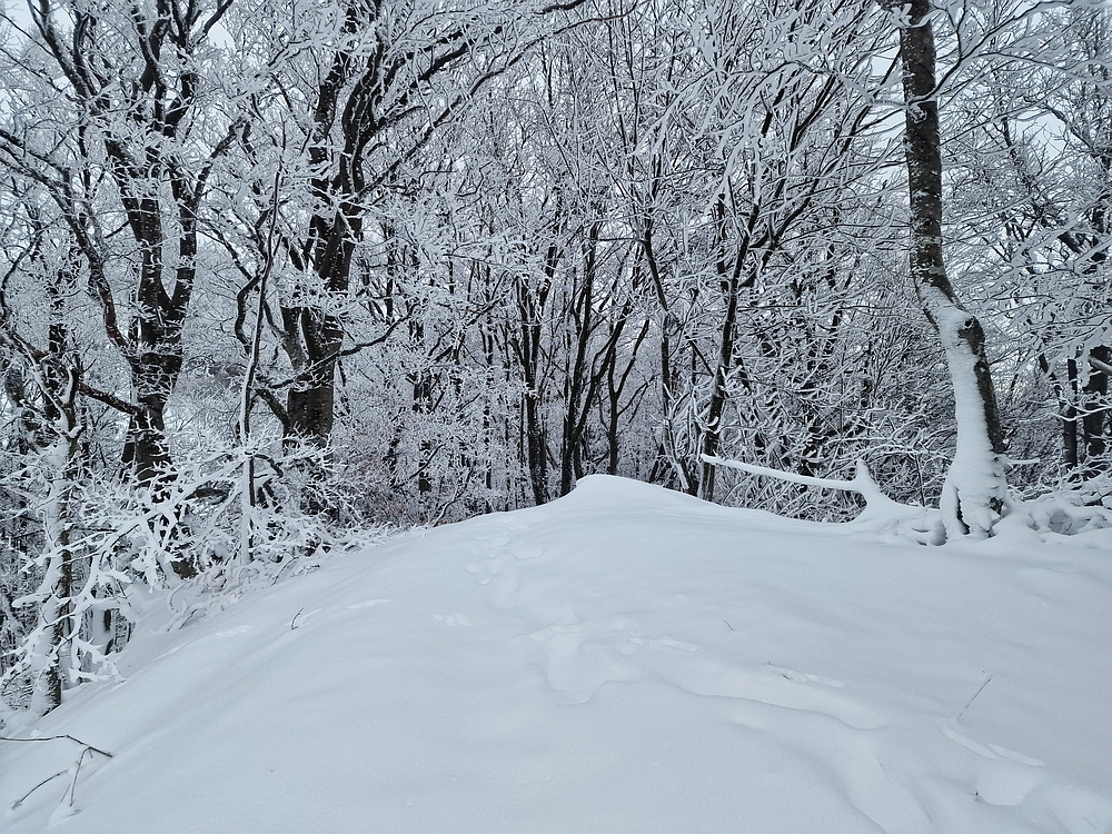 Sveta Planina, 21. 2. 2026