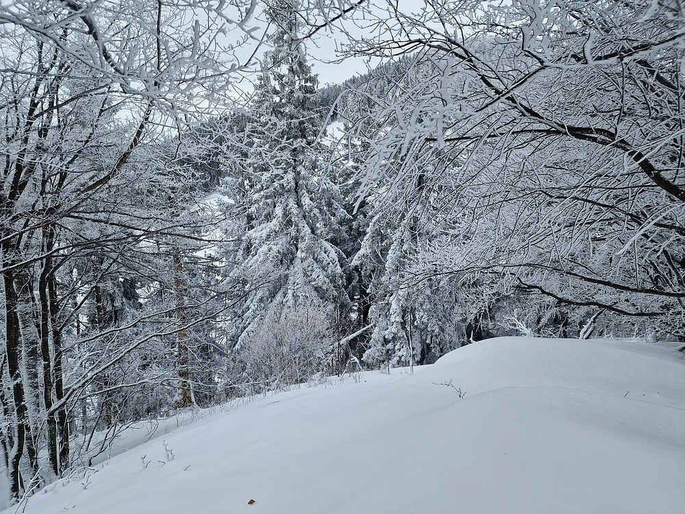Sveta Planina, 21. 2. 2026