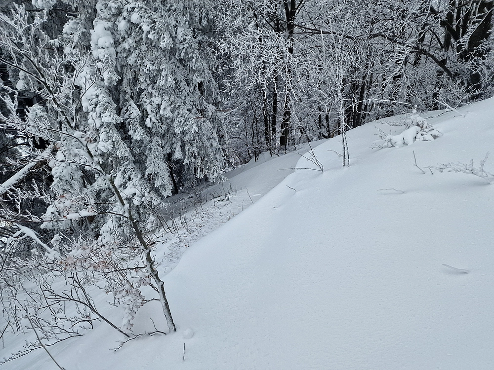 Sveta Planina, 21. 2. 2026
