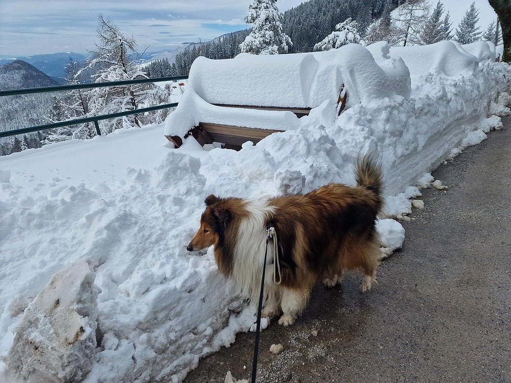 Sveta Planina, 21. 2. 2026