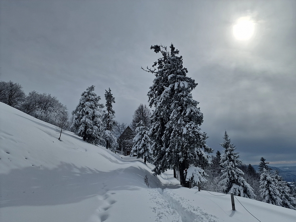 Sveta Planina, 21. 2. 2026