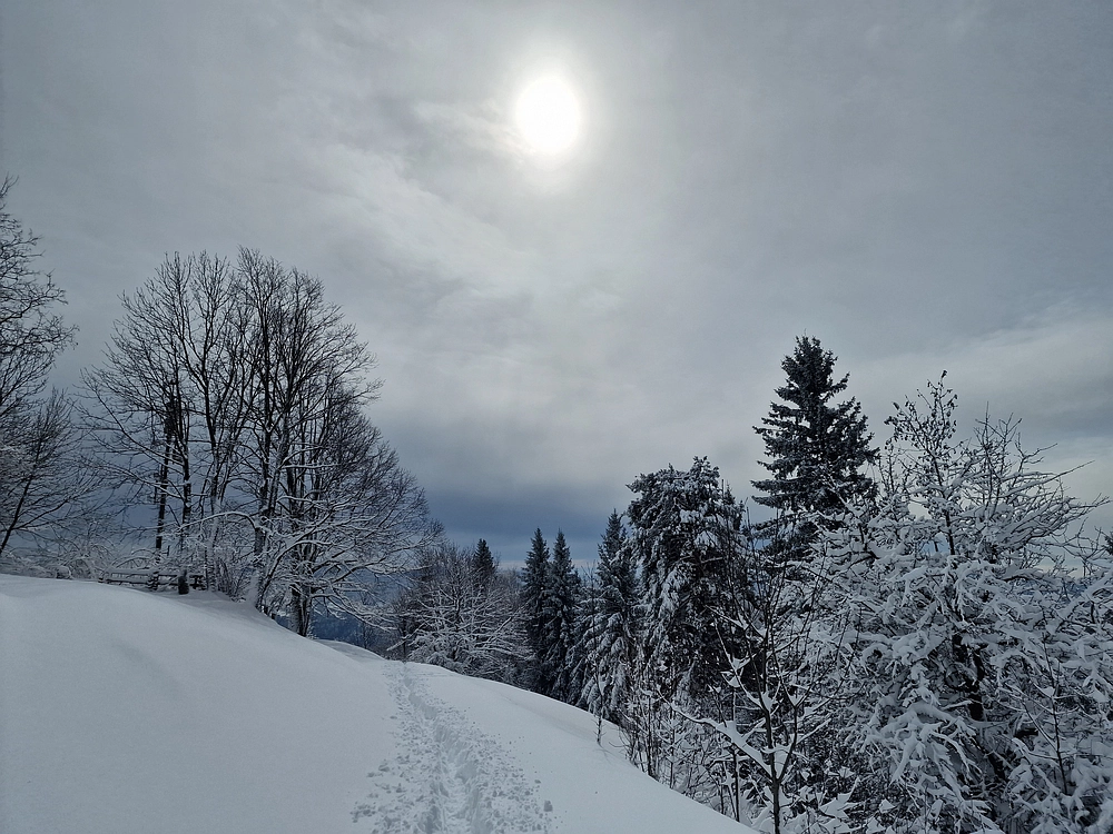 Sveta Planina, 21. 2. 2026