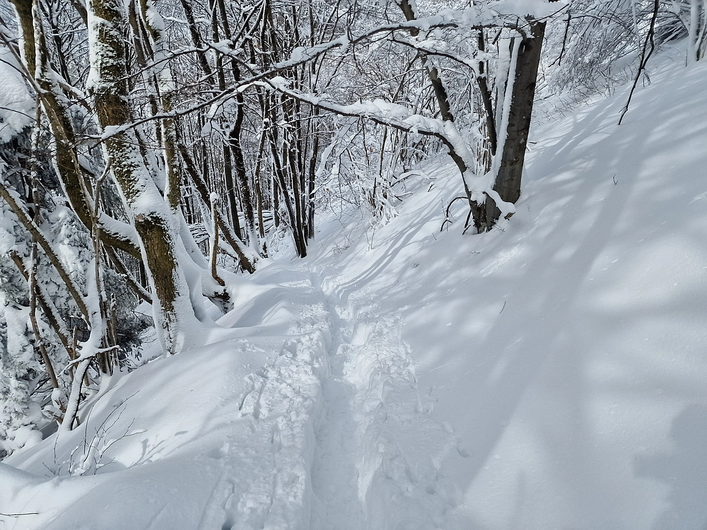 Sveta Planina, 21. 2. 2026