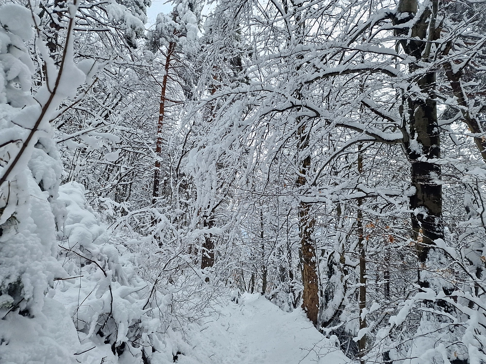 Sveta Planina, 21. 2. 2026