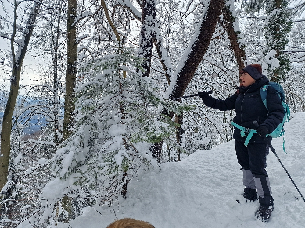 Sveta Planina, 21. 2. 2026