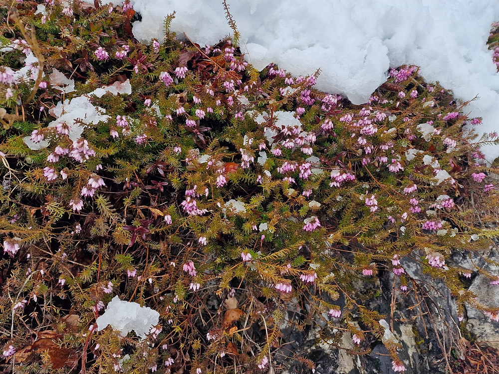 Sveta Planina, 21. 2. 2026