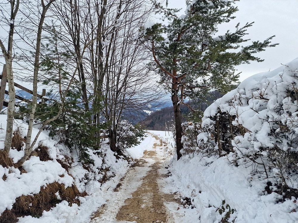 Sveta Planina, 21. 2. 2026