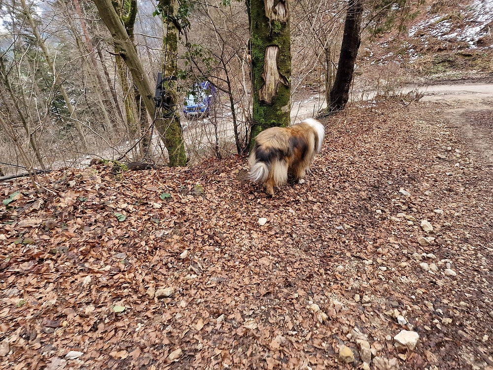 Sveta Planina, 21. 2. 2026