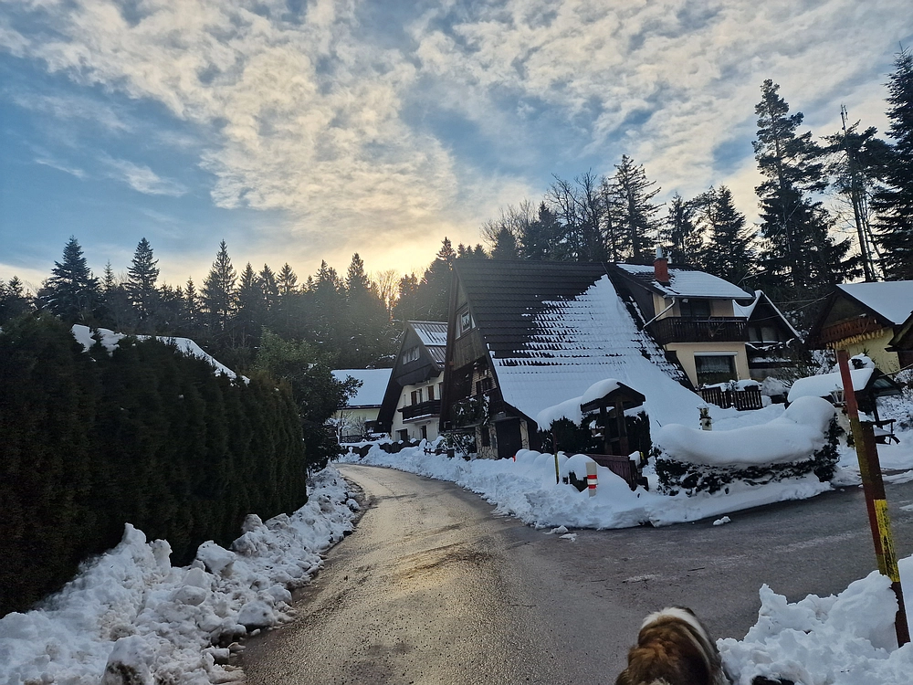 Mrzlica, 22. 1. 2026