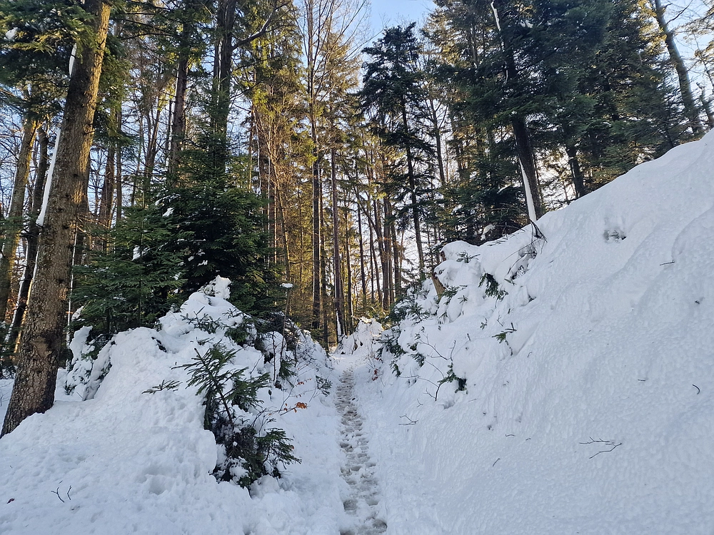 Mrzlica, 22. 1. 2026