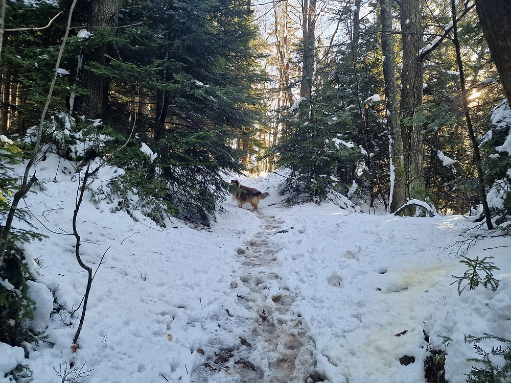 Mrzlica, 22. 1. 2026