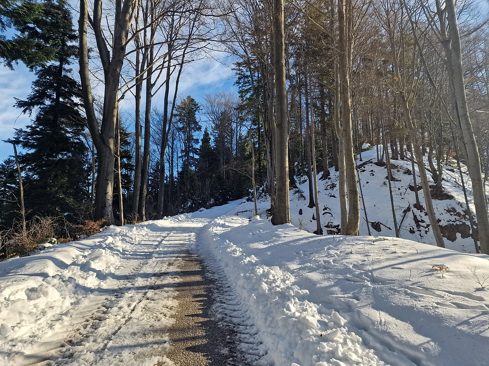 Mrzlica, 22. 1. 2026