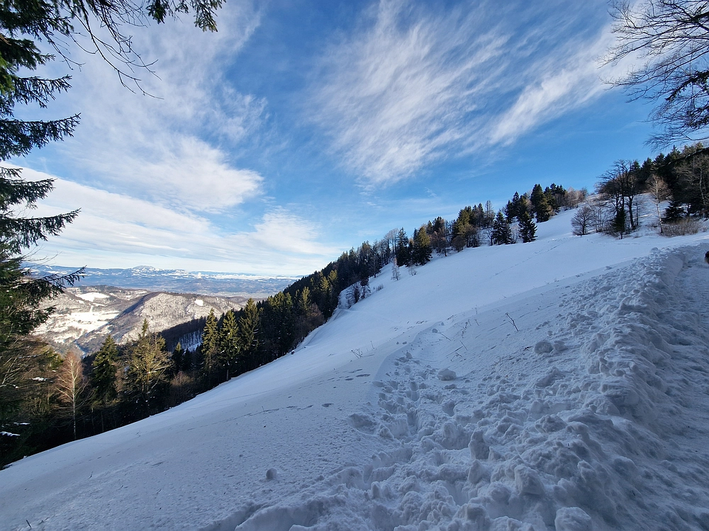 Mrzlica, 22. 1. 2026