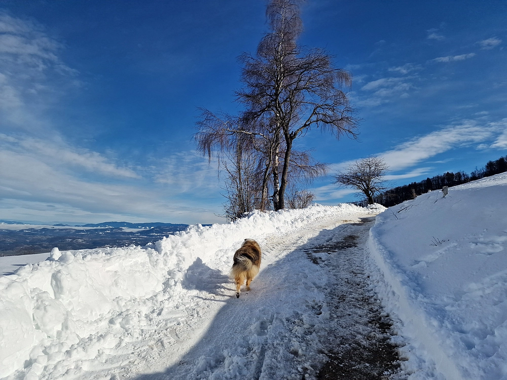 Mrzlica, 22. 1. 2026