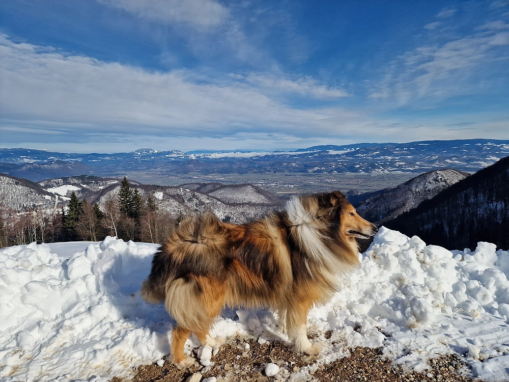 Mrzlica, 22. 1. 2026