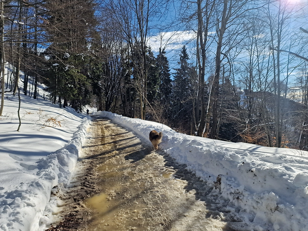 Mrzlica, 22. 1. 2026