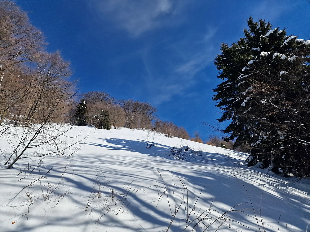 Mrzlica, 22. 1. 2026