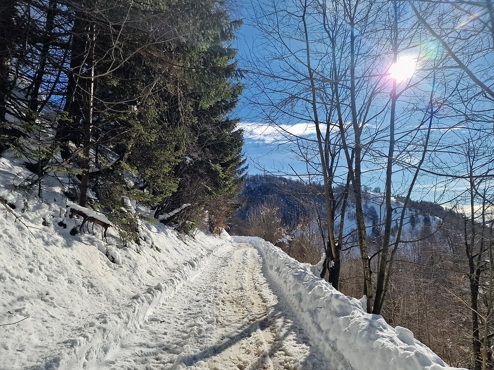 Mrzlica, 22. 1. 2026