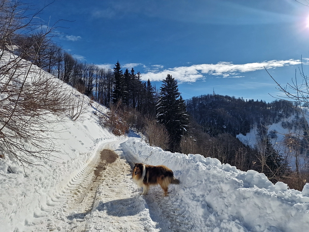 Mrzlica, 22. 1. 2026