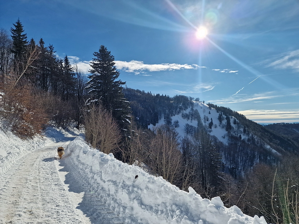 Mrzlica, 22. 1. 2026