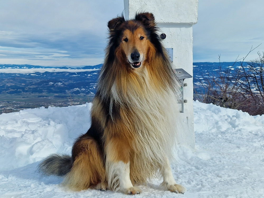 Mrzlica, 22. 1. 2026