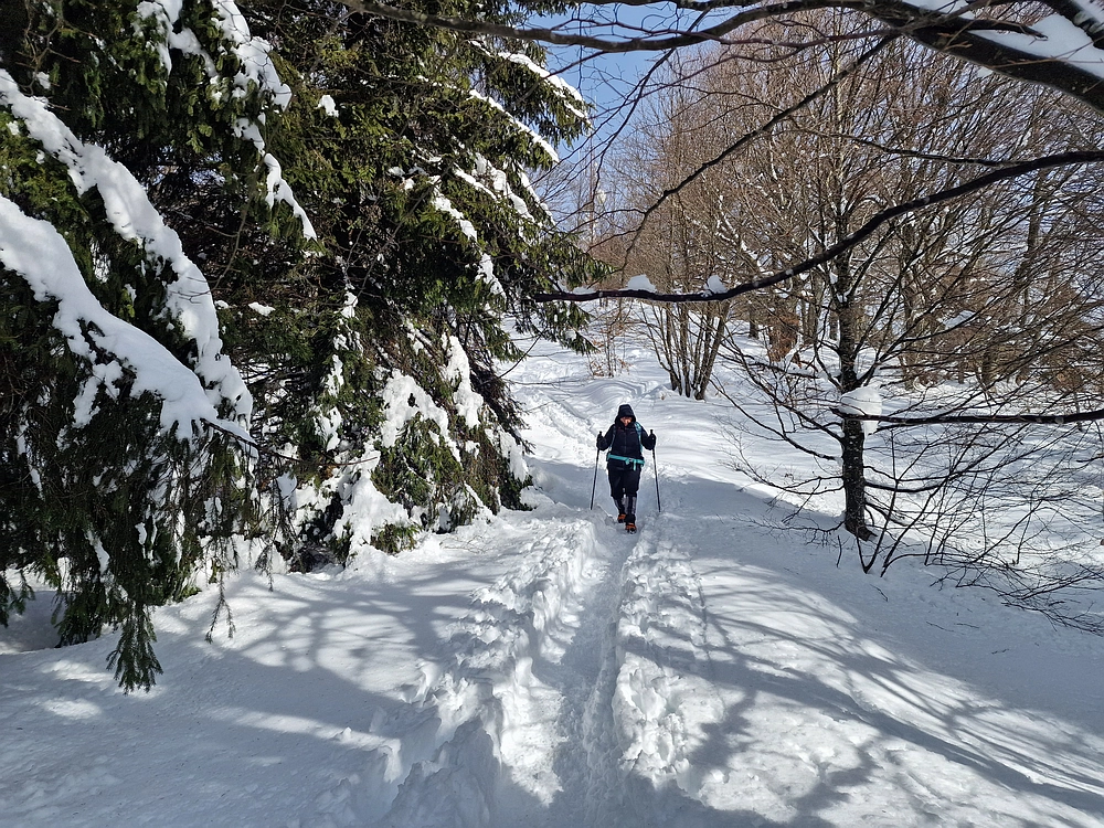 Mrzlica, 22. 1. 2026