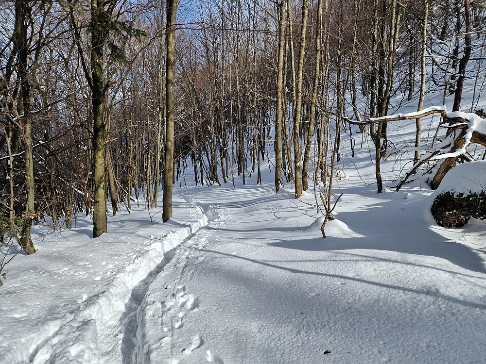 Mrzlica, 22. 1. 2026