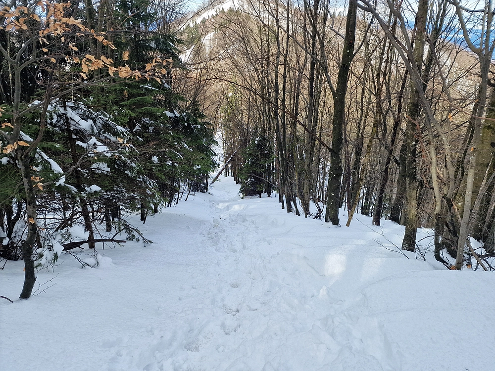 Mrzlica, 22. 1. 2026