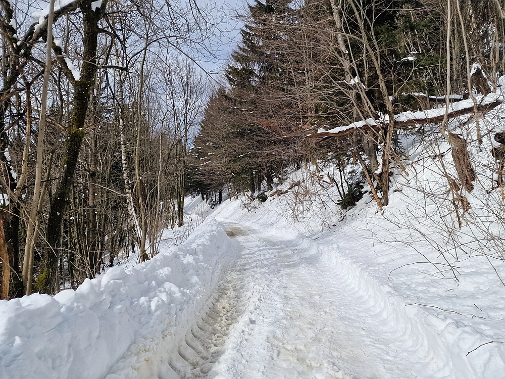 Mrzlica, 22. 1. 2026