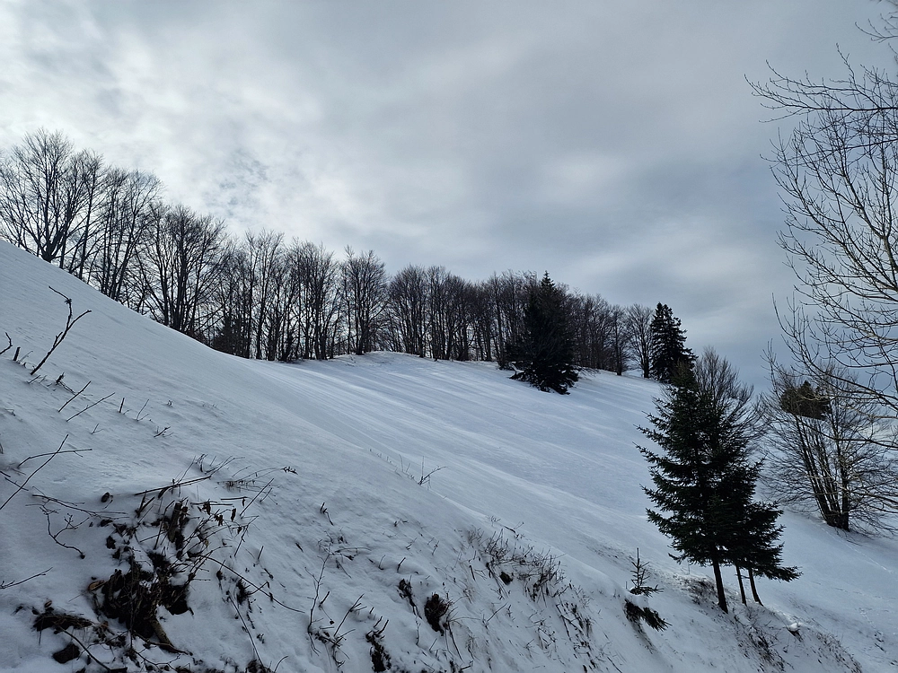 Mrzlica, 22. 1. 2026