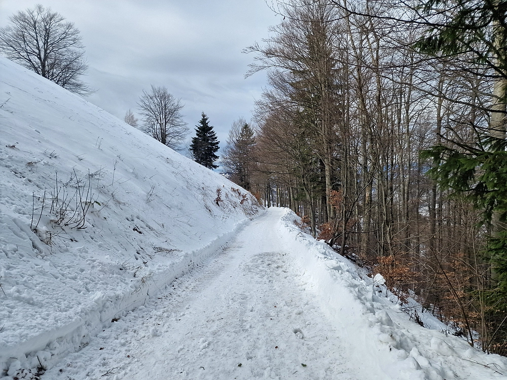 Mrzlica, 22. 1. 2026