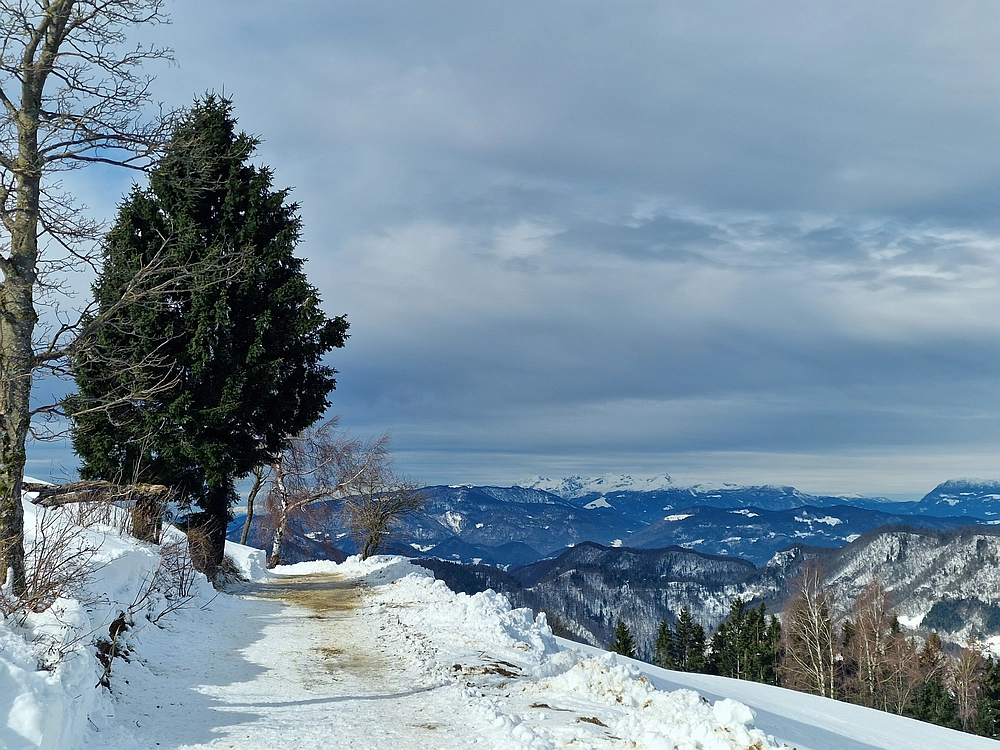 Mrzlica, 22. 1. 2026