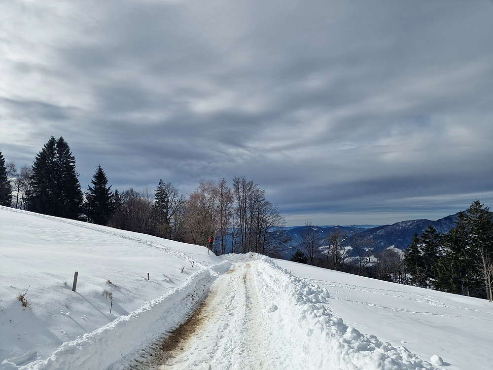 Mrzlica, 22. 1. 2026