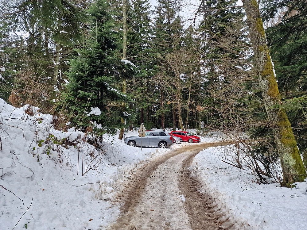 Mrzlica, 22. 1. 2026