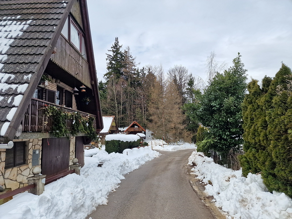 Mrzlica, 22. 1. 2026