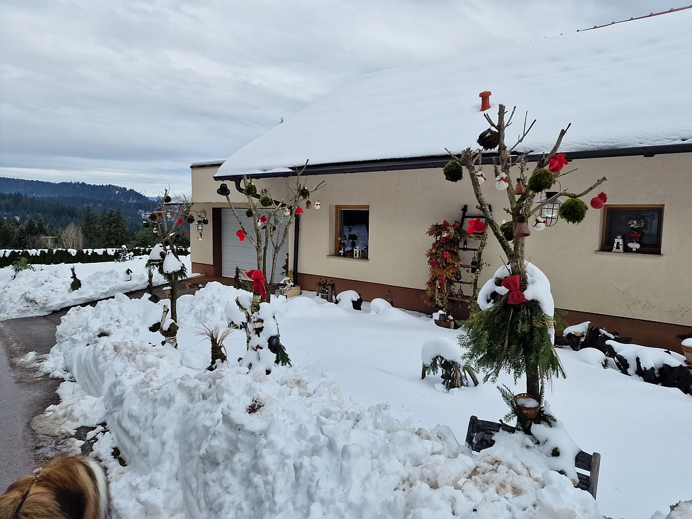 Mrzlica, 22. 1. 2026