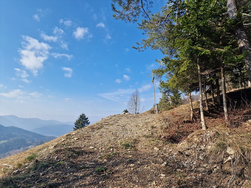 Jesenovo - Čemšeniška planina, 1. 3. 2026