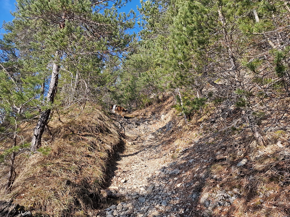 Jesenovo - Čemšeniška planina, 1. 3. 2026