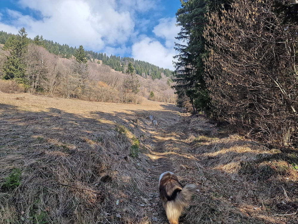 Jesenovo - Čemšeniška planina, 1. 3. 2026