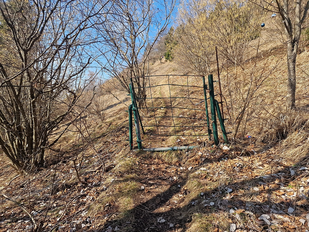 Jesenovo - Čemšeniška planina, 1. 3. 2026