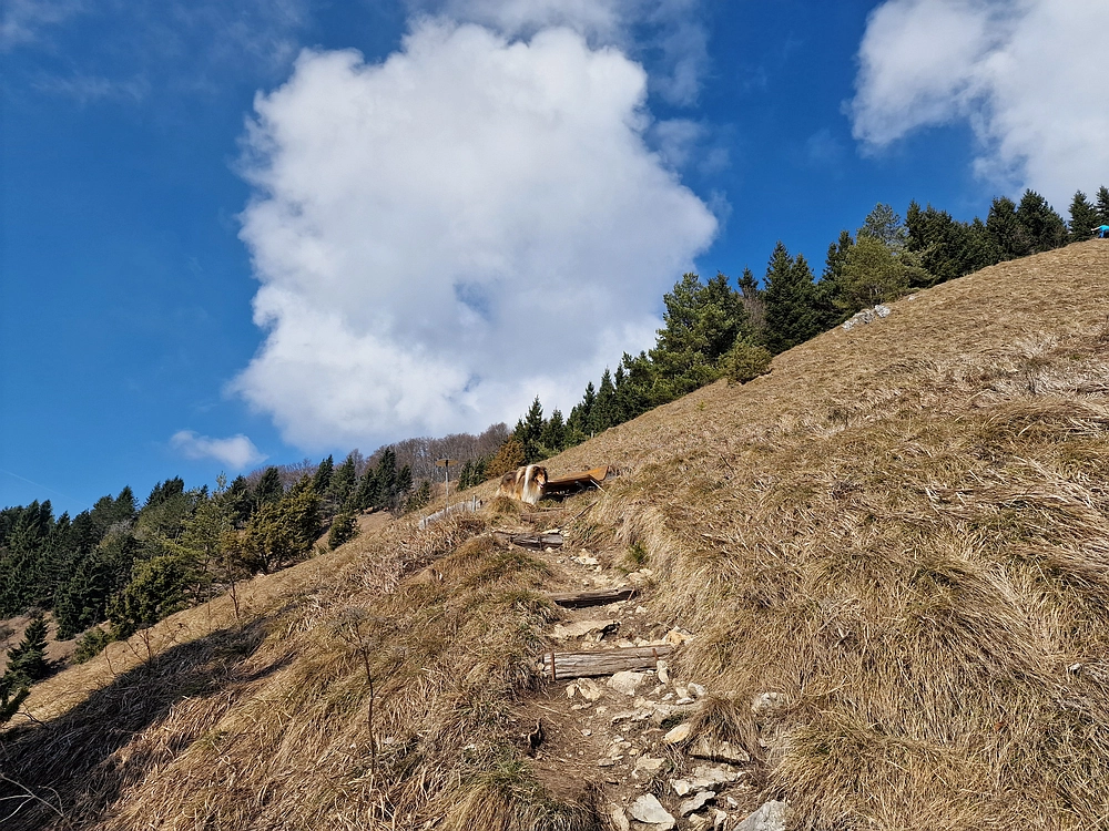 Jesenovo - Čemšeniška planina, 1. 3. 2026