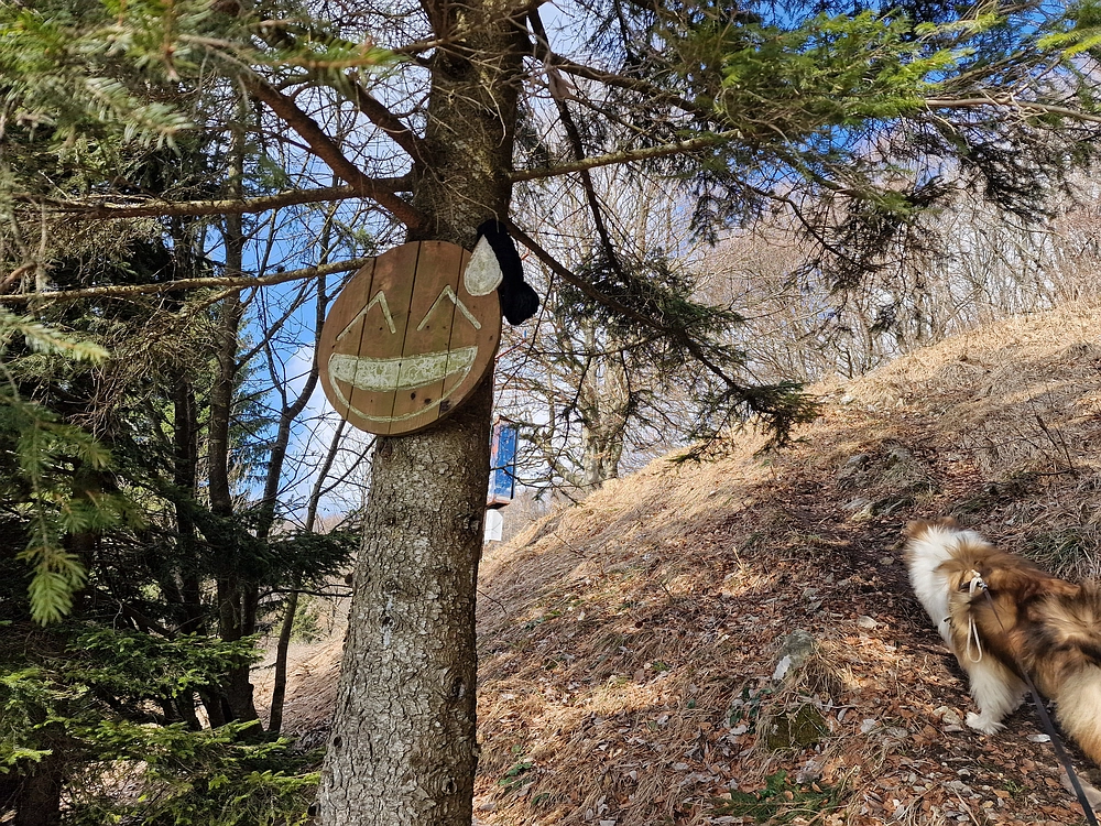 Jesenovo - Čemšeniška planina, 1. 3. 2026