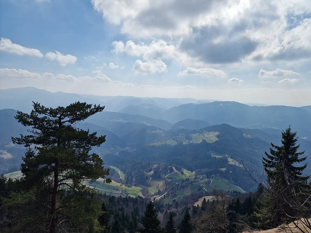 Jesenovo - Čemšeniška planina, 1. 3. 2026